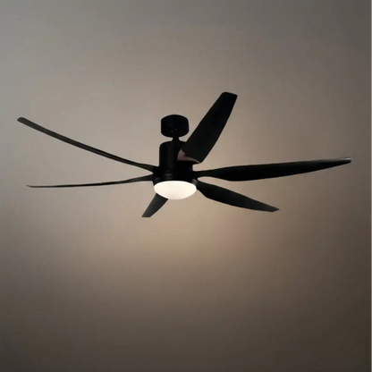 Morandia Modern Ceiling Fan Light 