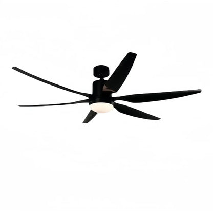 Morandia Modern Ceiling Fan Light 