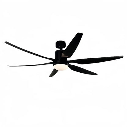 Morandia Modern Ceiling Fan Light 