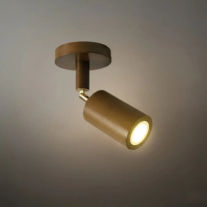 Modern Track Light 