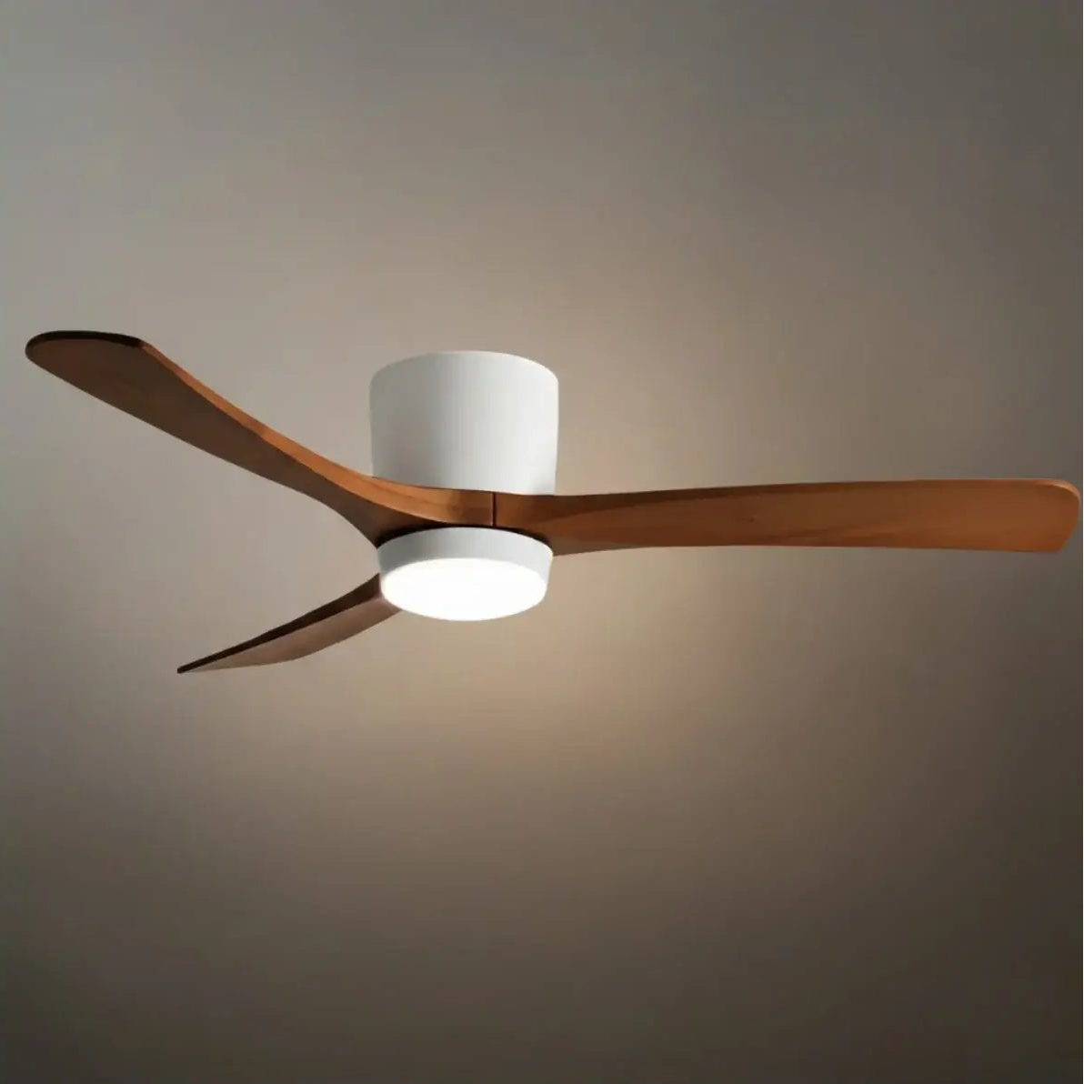 Lunara Nordic Ceiling Fan Light