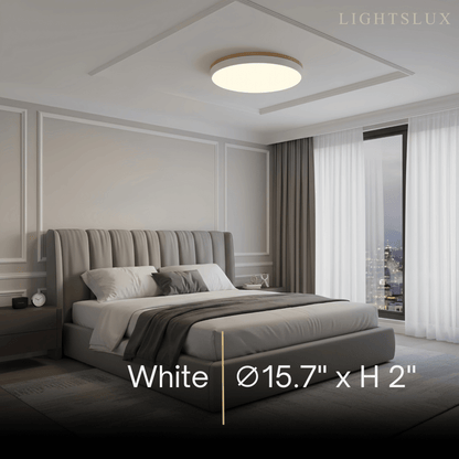 Minimalist Circular Ceiling Lamp — Wood & Matte Grey Frame 