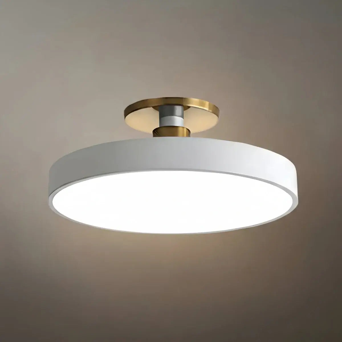 Modern Flush Mount Ceiling Light