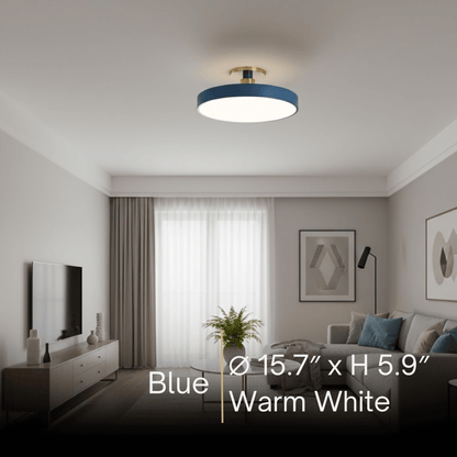 Modern Flush Mount Ceiling Light