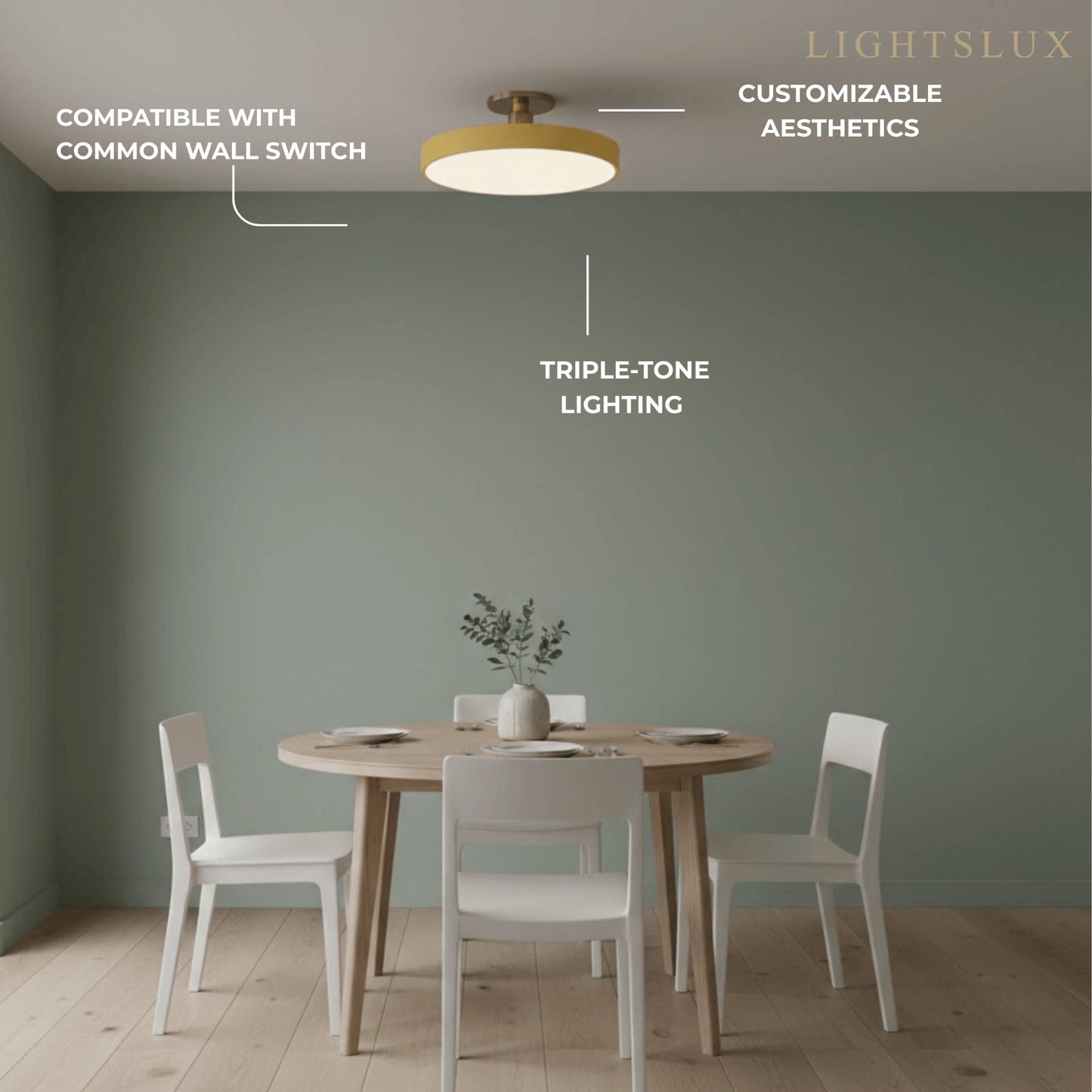 Modern Flush Mount Ceiling Light