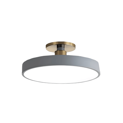 Modern Flush Mount Ceiling Light