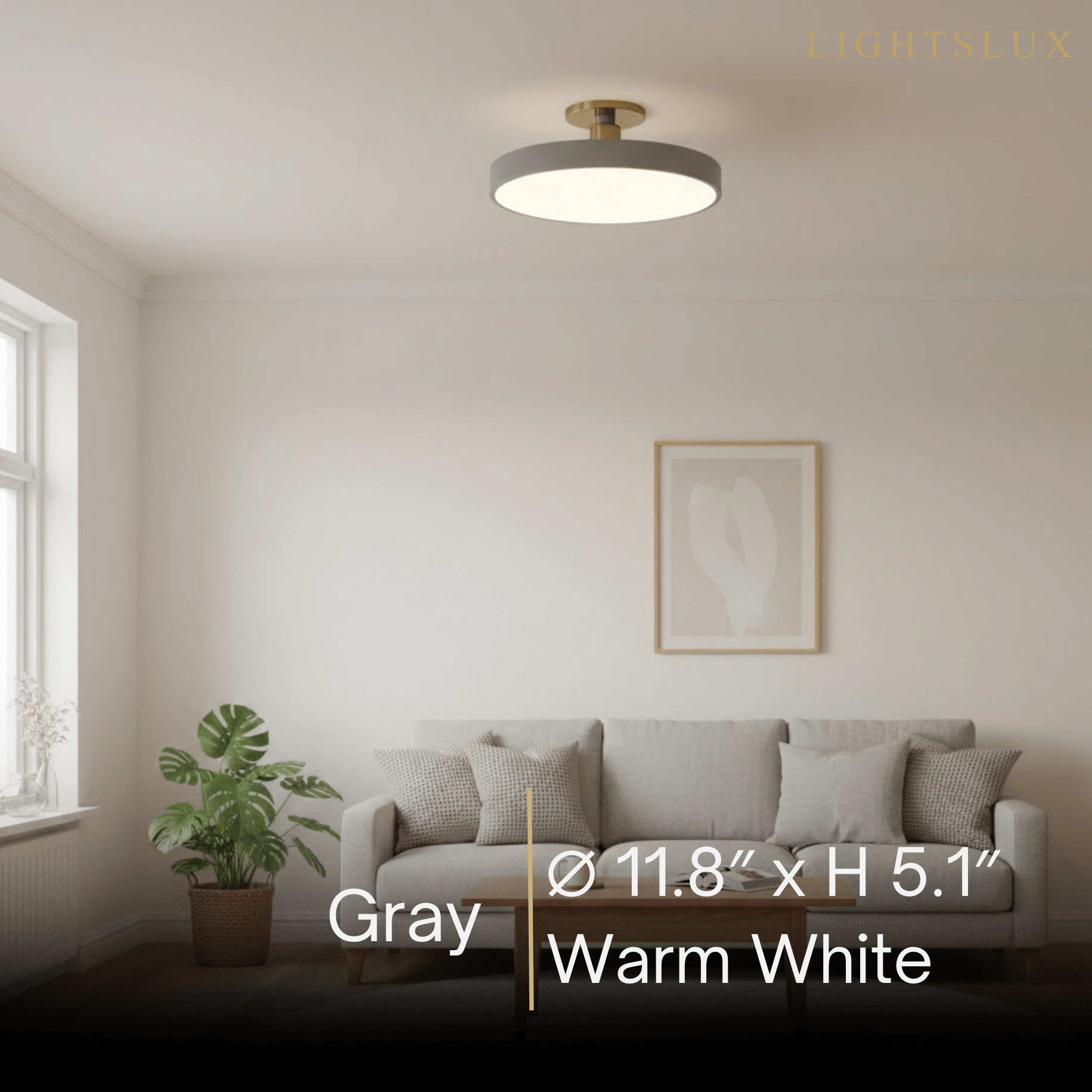 Modern Flush Mount Ceiling Light