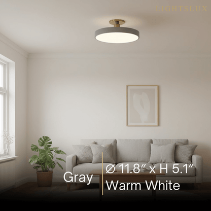 Modern Flush Mount Ceiling Light