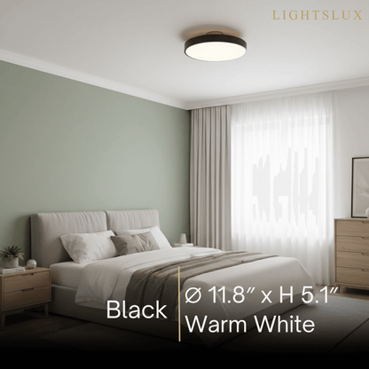 Modern Flush Mount Ceiling Light