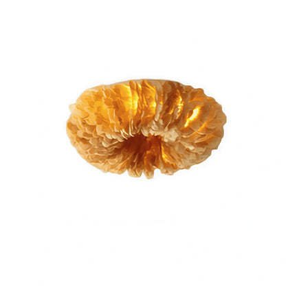 Lunara Art Deco Round Ceiling Light Art Feather