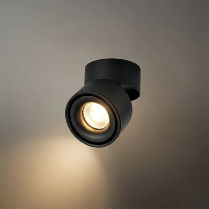 Arcato Modern Cylindrical Ceiling Light