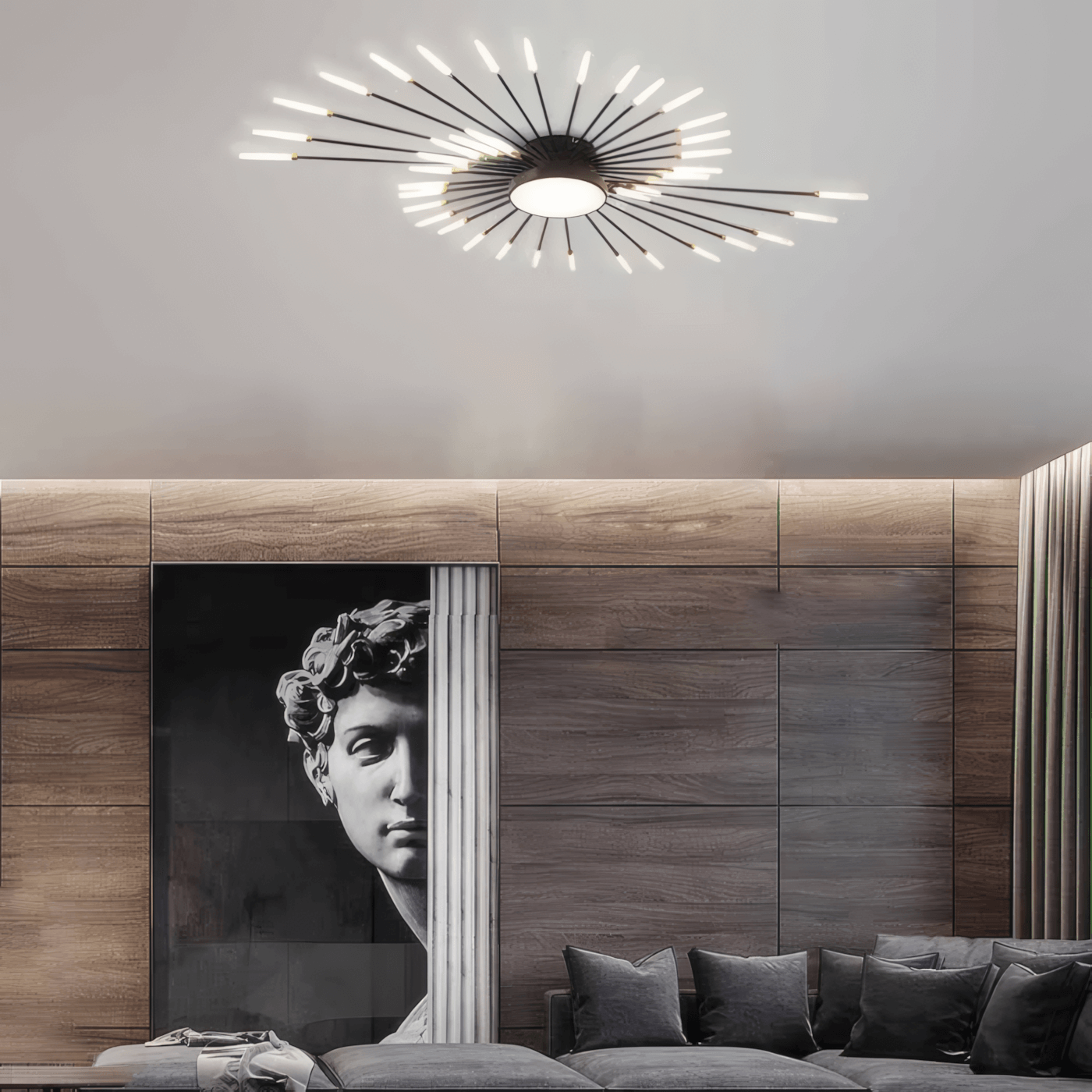 Minimalist Black Ceiling Light Fireworks for Living Room-3