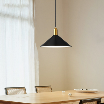Modern Pendant Light