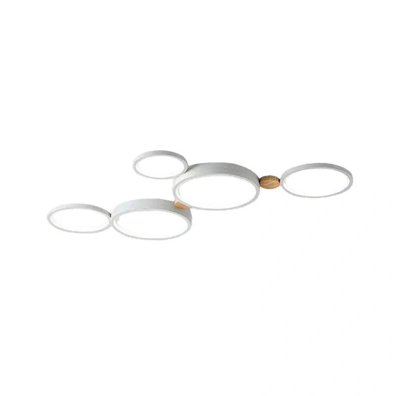 Modern Round Ceiling Light