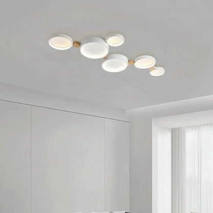 Modern Round Ceiling Light