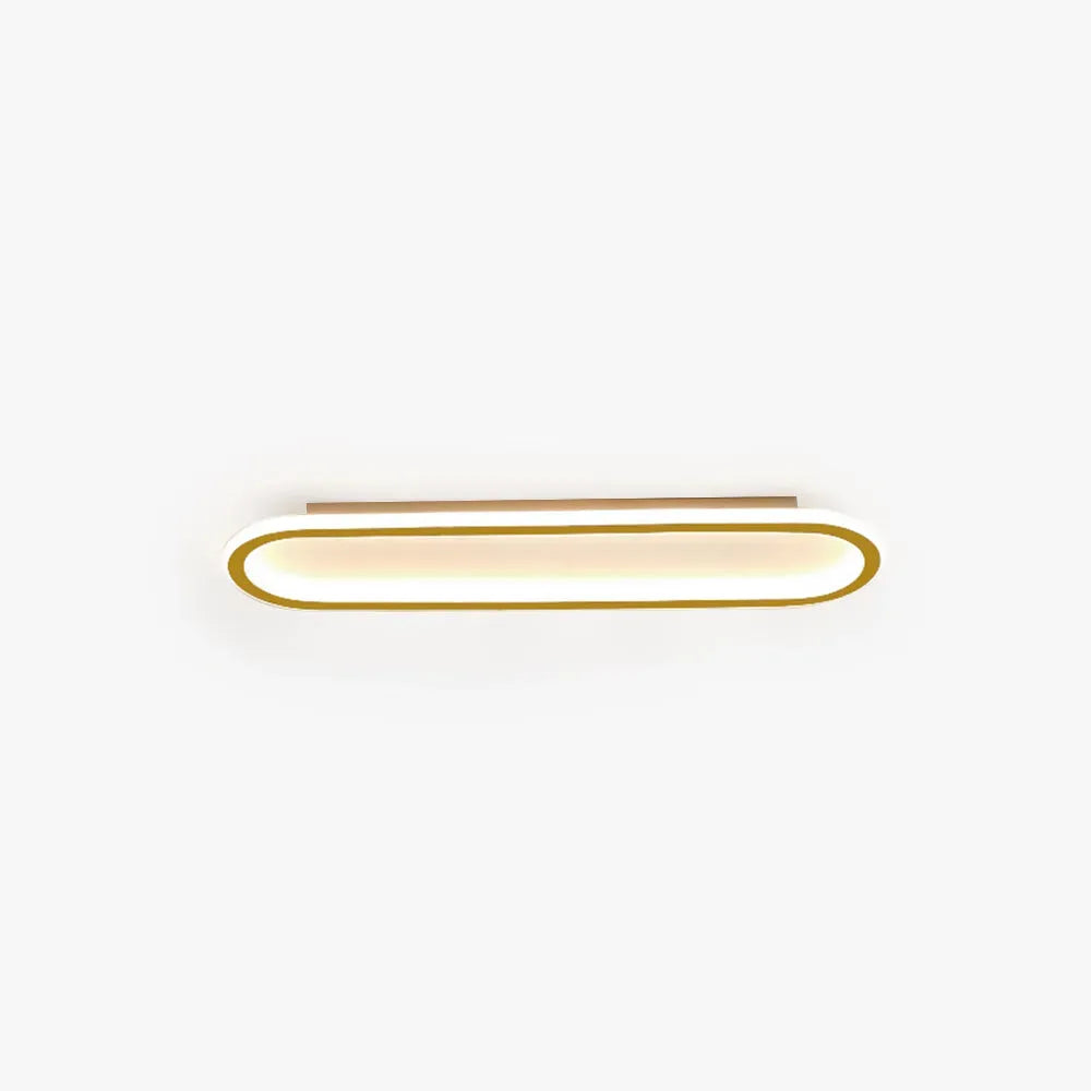 Minimalist Elliptical Ceiling Light 