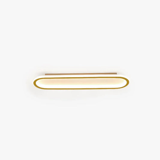 Minimalist Elliptical Ceiling Light 