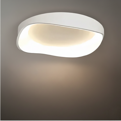 Mount Ceiling Light – Metal /Acrylic for Living Room