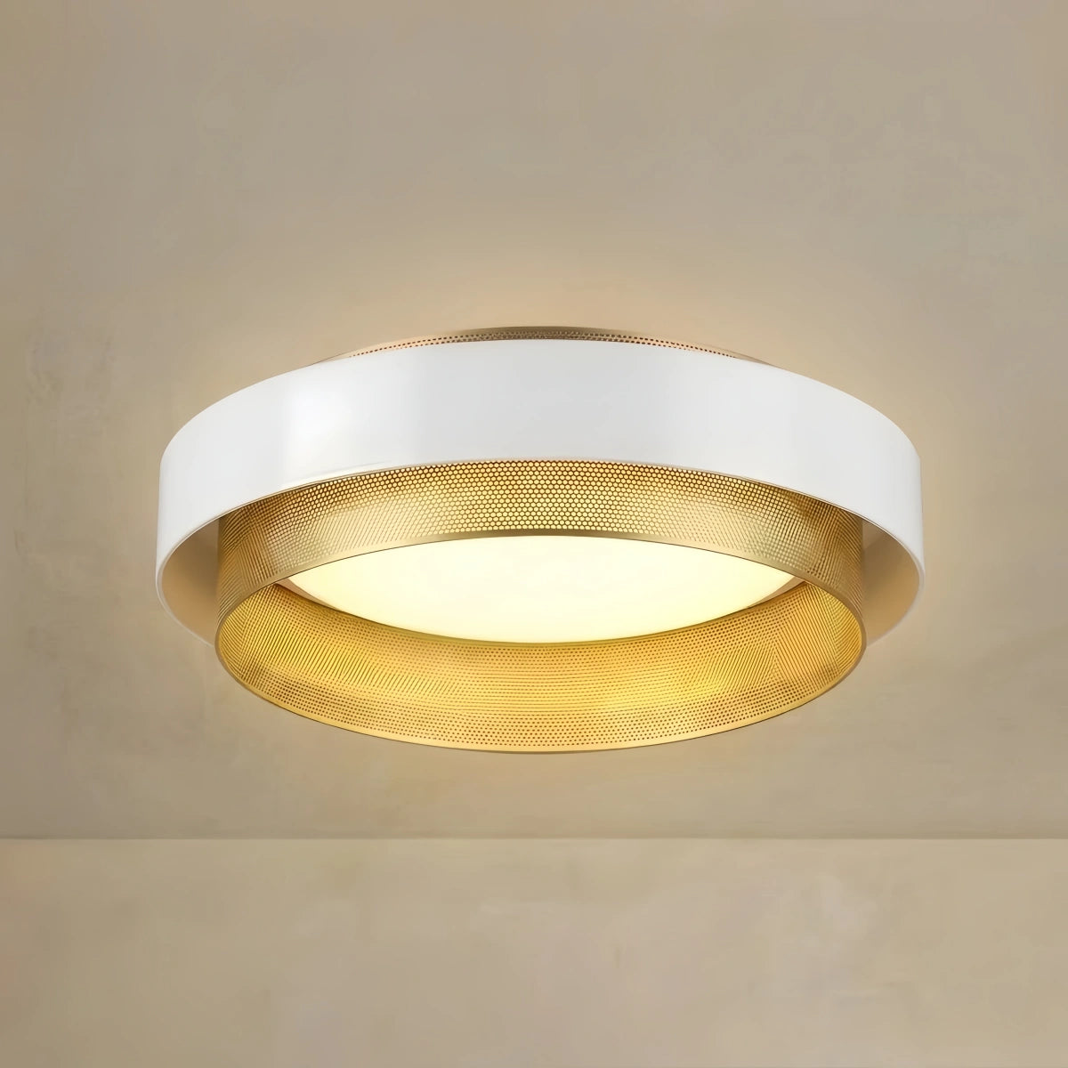 Excelis Modern Ring Ceiling Light — Metal & Acrylic Annular Design for Dining Room