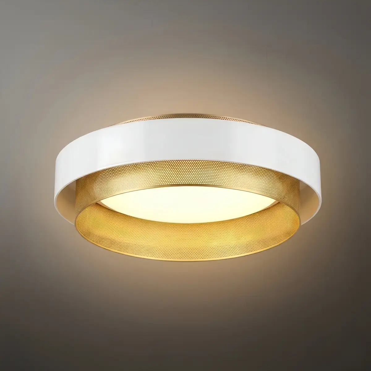 Excelis Modern Ring Ceiling Light