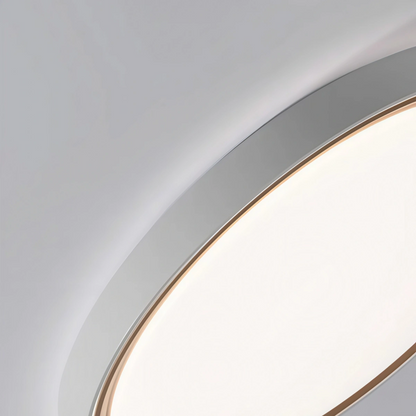 Embrace Modern Gray Ceiling Light