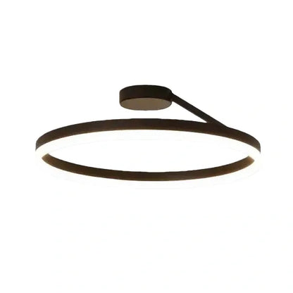 Modern Circular Flush Mount Ceiling Light 