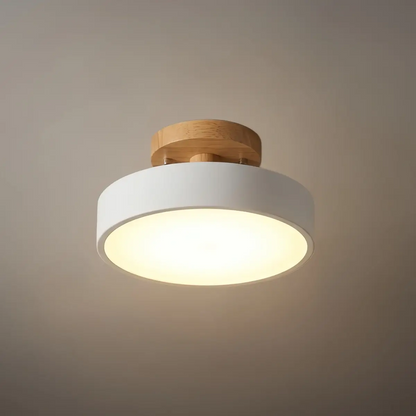 Morandia Morandi Style Ceiling Light