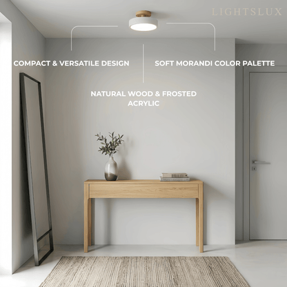 Morandia Morandi Style Ceiling Light