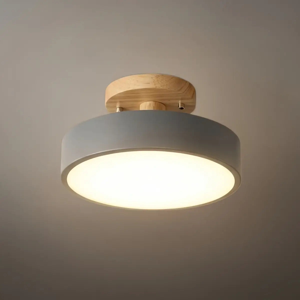 Morandia Morandi Style Ceiling Light