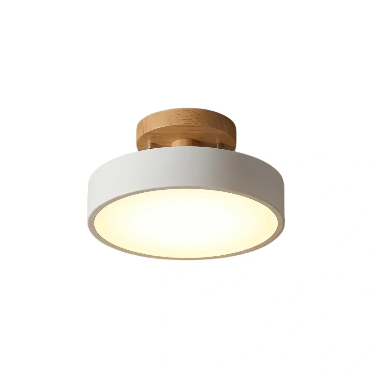 Morandia Morandi Style Ceiling Light