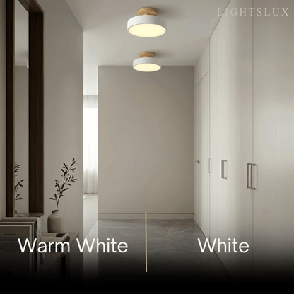 Morandia_Morandi_Style_Ceiling_Light