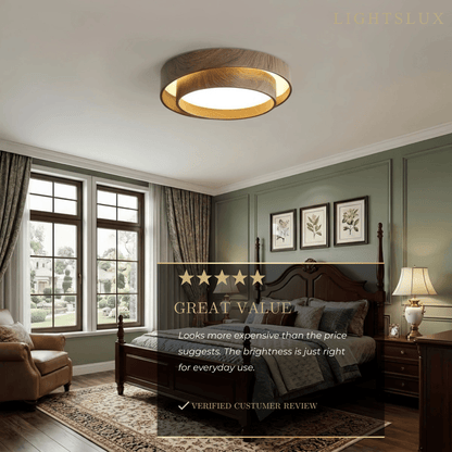 Minimalist Ceiling Light -- Metal & Acrylic 