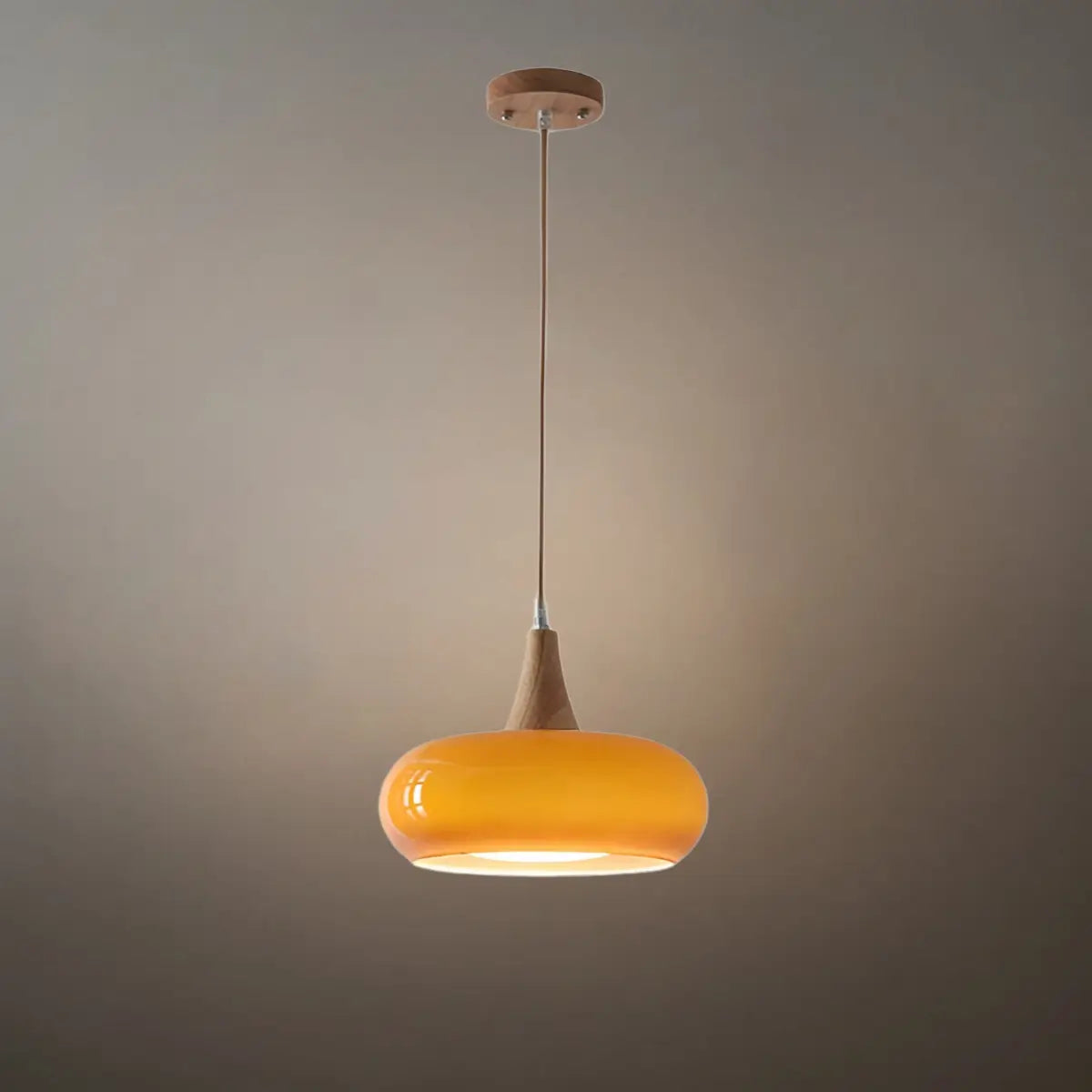 Modern Glass Pendant Light 