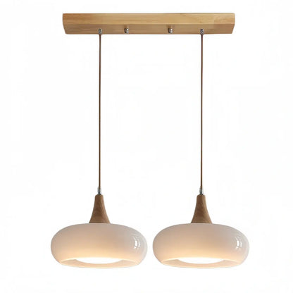 Modern Glass Pendant Light 