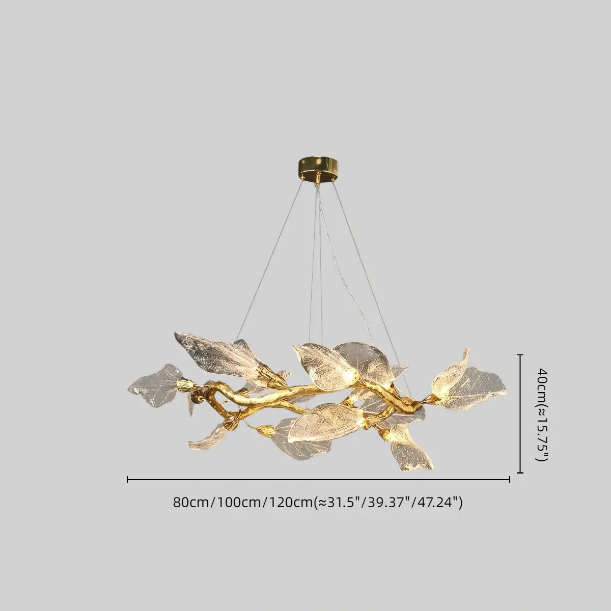 Velora Elegant Organic Chandelier 