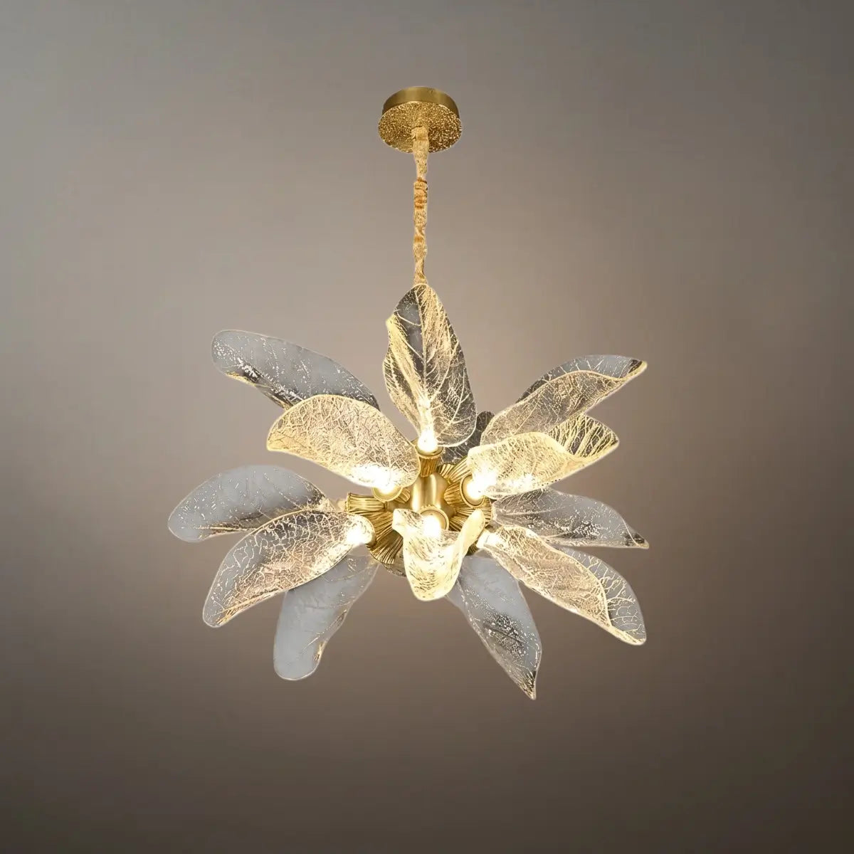 Velora Elegant Organic Chandelier 