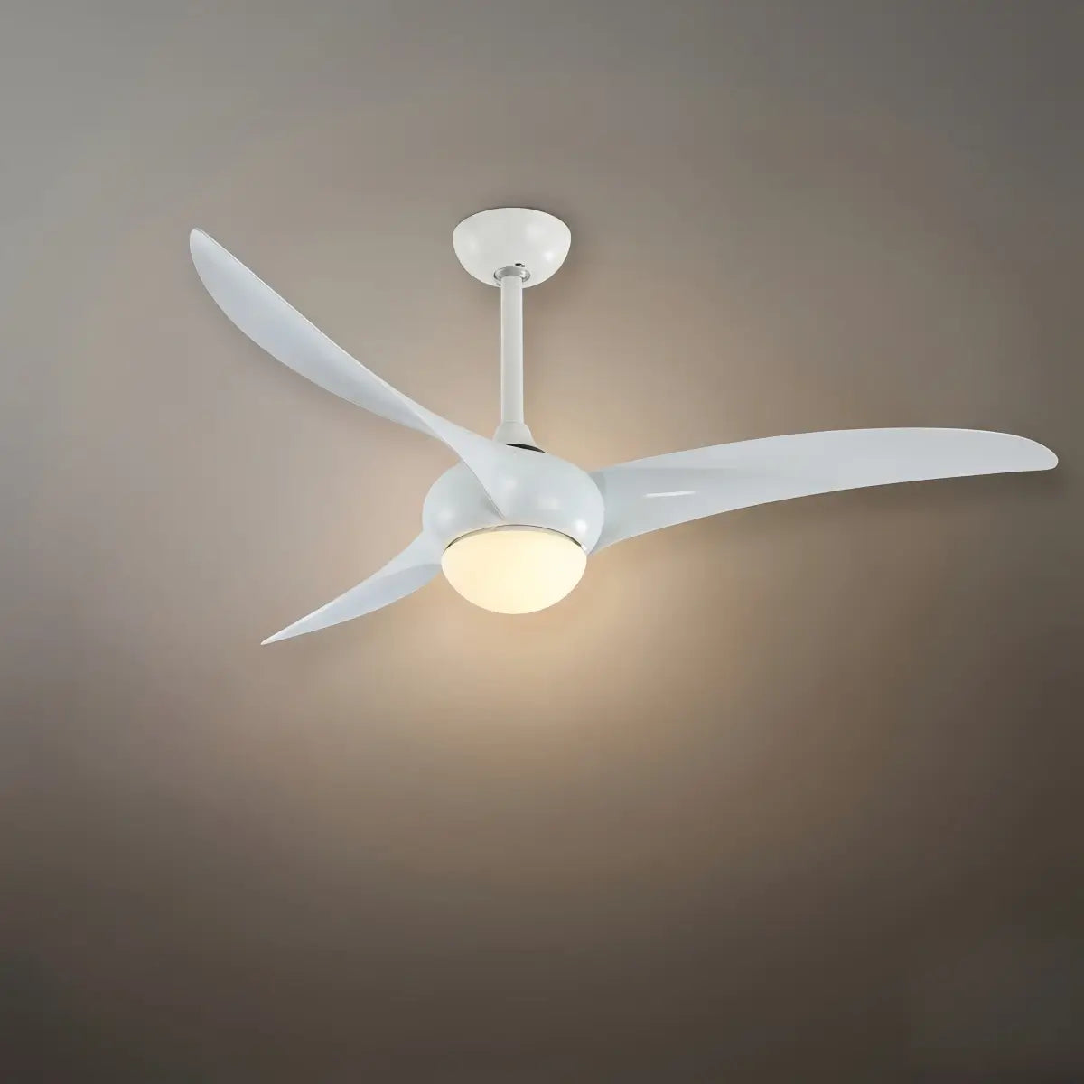 Zenno Modern Ceiling Fan Light 