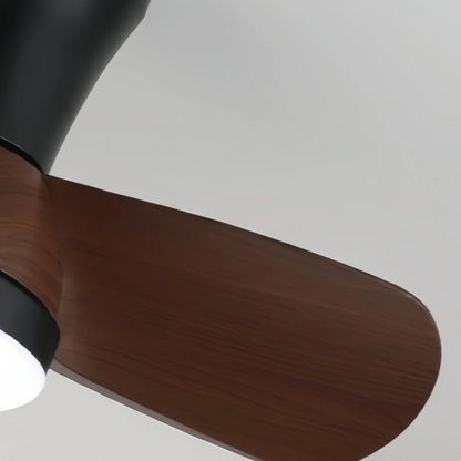 Zenno Modern Ceiling Fan Light with LED