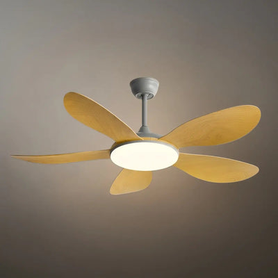 Zenno Modern Ceiling Fan Light 