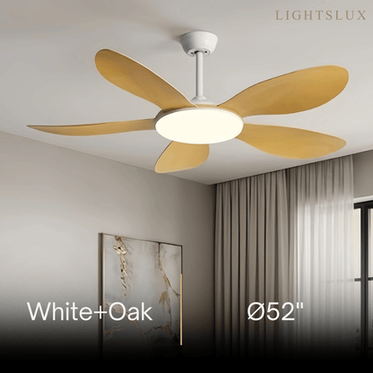 Zenno Modern Ceiling Fan Light 