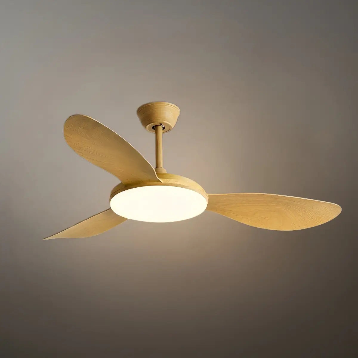 Zenno Modern Ceiling Fan Light 