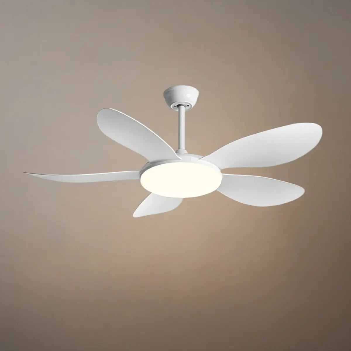 Zenno Modern Ceiling Fan Light 