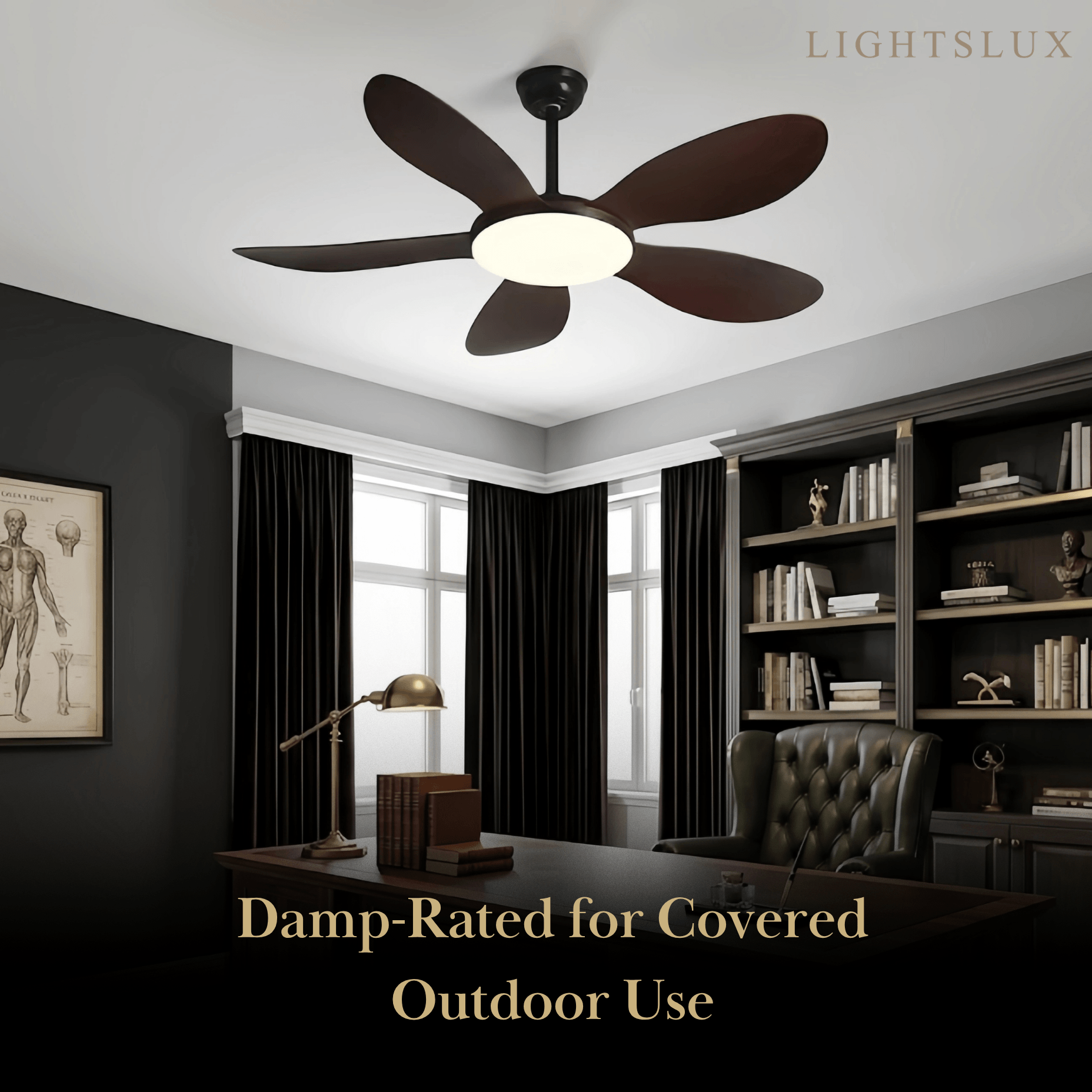 Zenno Modern Ceiling Fan Light 