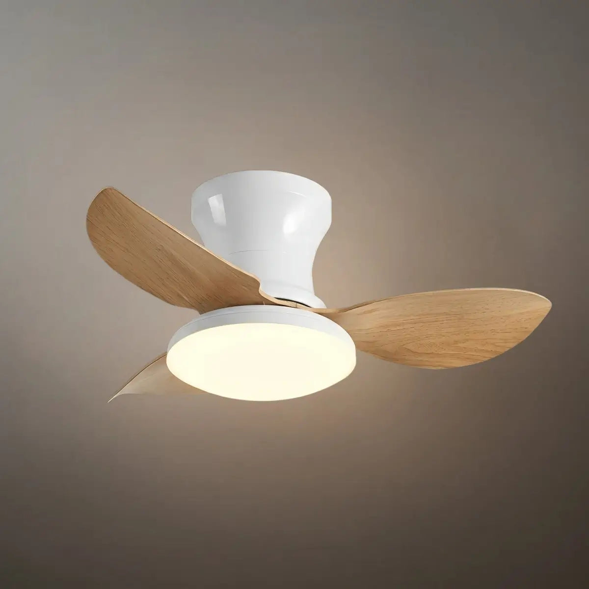 Vivara Modern Ceiling Fan Light 