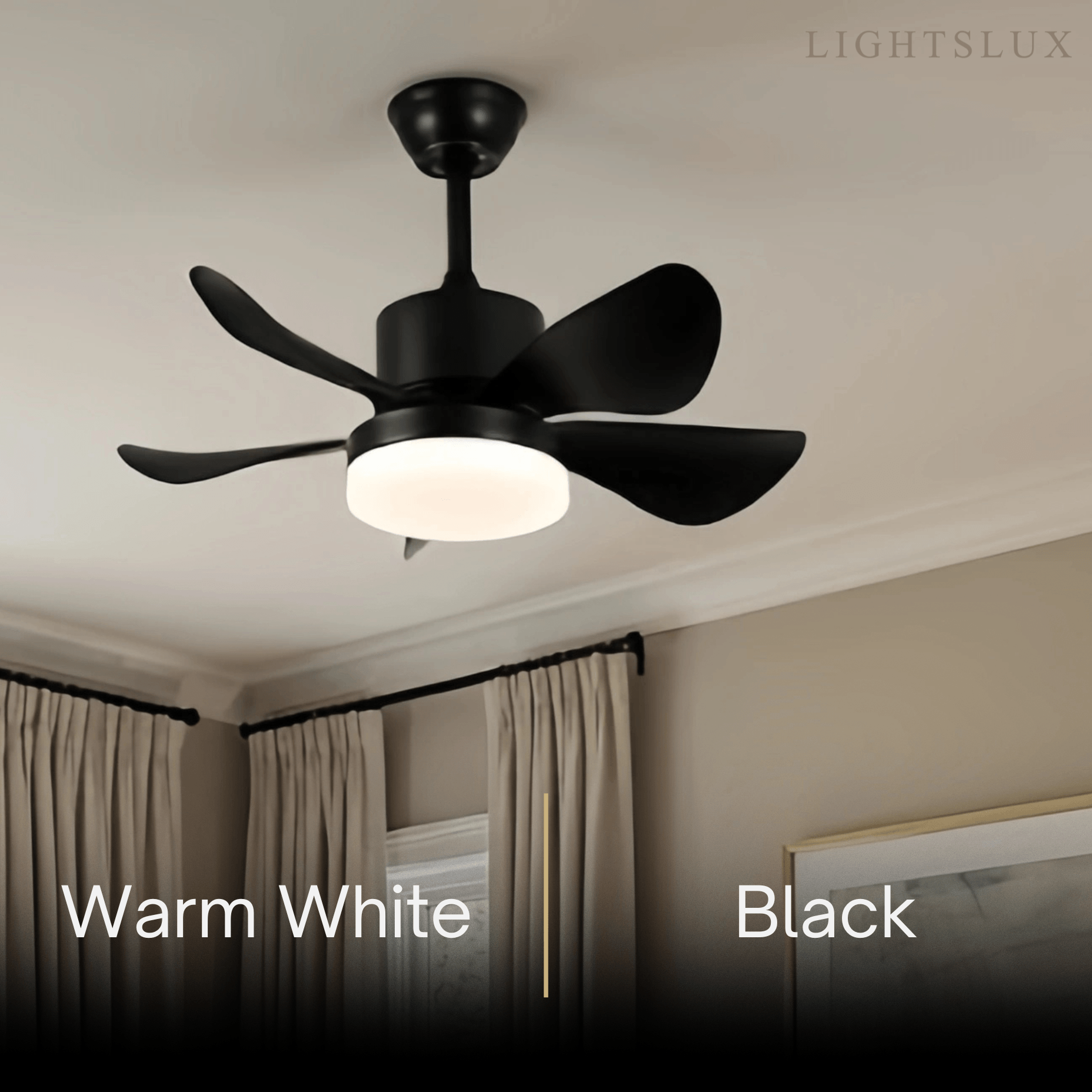 Zenno Minimalist Ceiling Fan Light