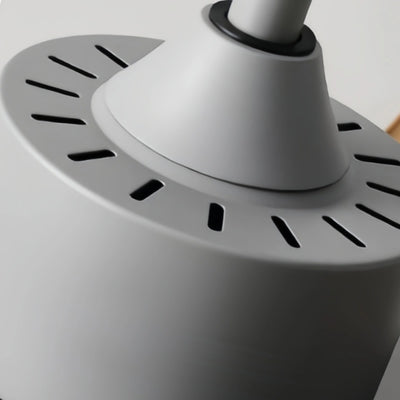 Vivara Scandinavian Large Ceiling Fan Light