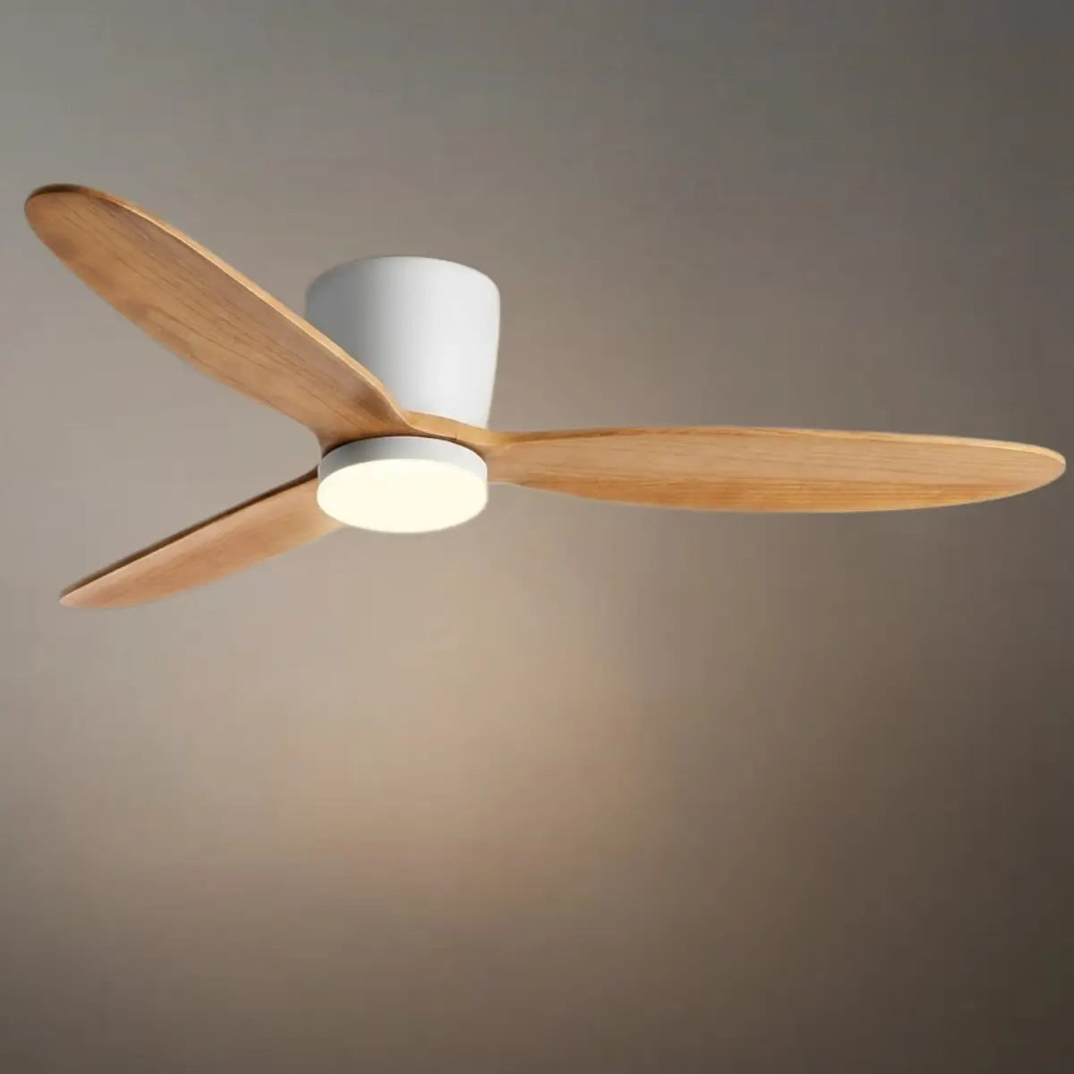Vivara Minimalist Low Profile Ceiling Fan Light