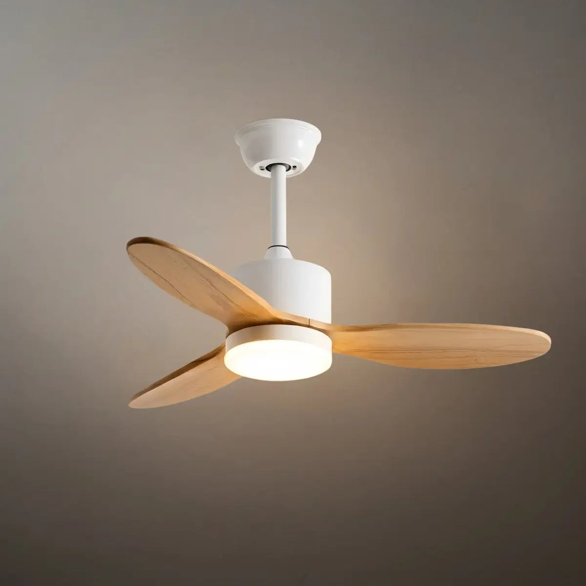 Vivara  Minimalist Ceiling Fan Light