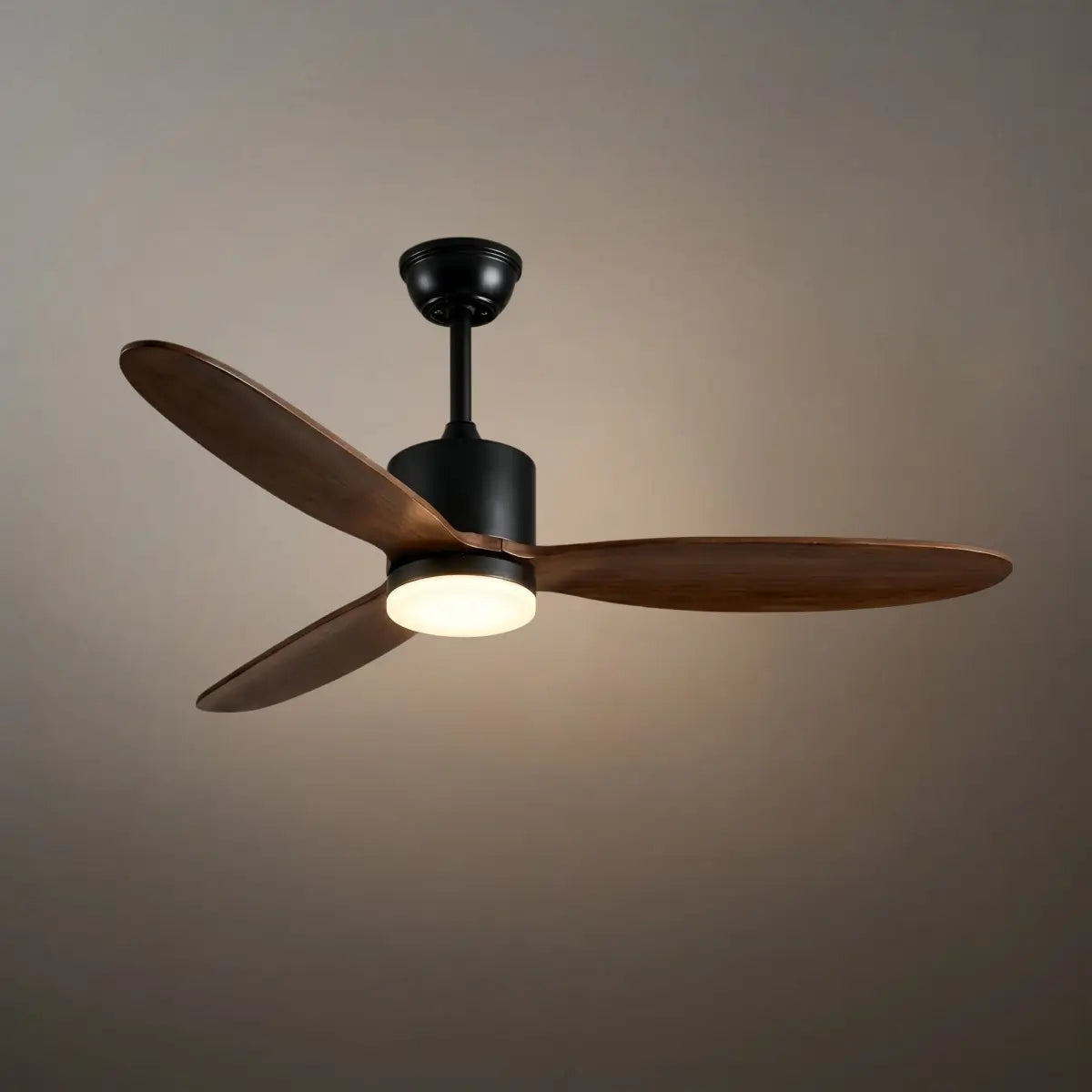 Vivara  Minimalist Ceiling Fan Light