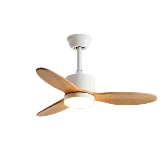 Vivara  Minimalist Ceiling Fan Light